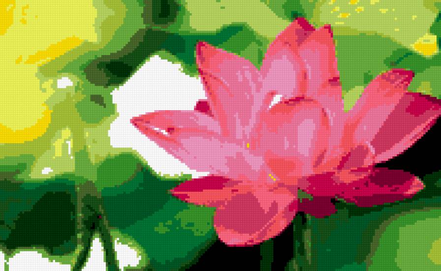 ЛОТОС - лотос, цветы - предпросмотр