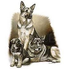 Схема вышивки «овчарка со щенками»