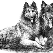 Схема вышивки «овчарки»