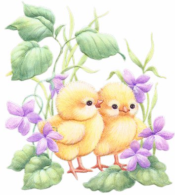 №428446 - оригинал