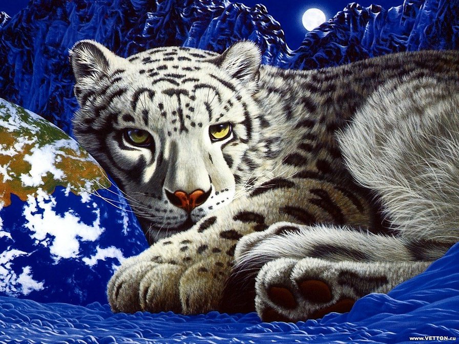 белый леопард - животные, леопард - оригинал