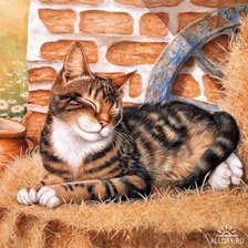 Схема вышивки «Котик»