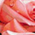 Предпросмотр схемы вышивки «букет роз» (№428816)