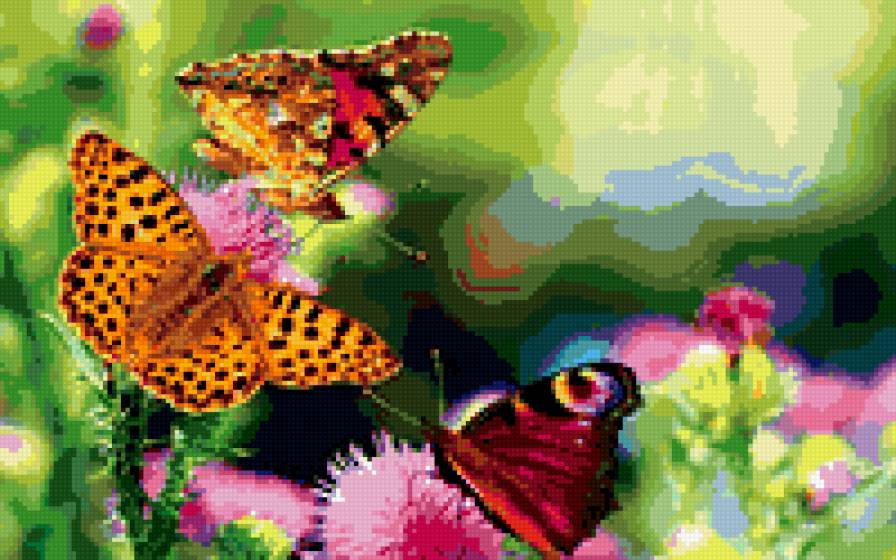 Бабочки - бабочки, лето, радость, красота - предпросмотр