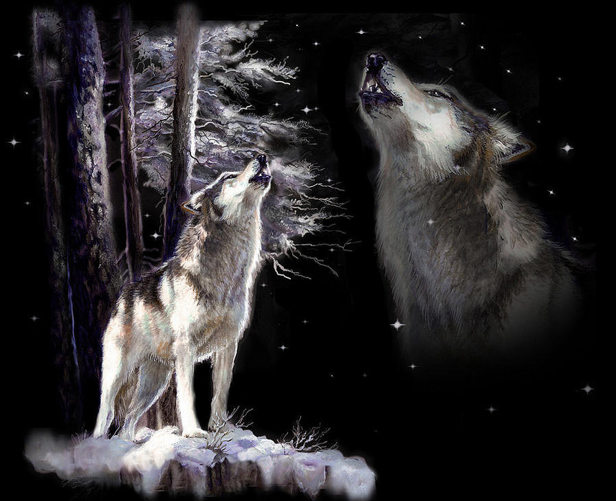 волчья песня - волки, ночь - оригинал