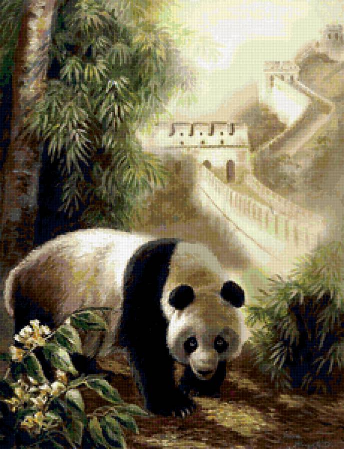 панда - китайская стена, животные - предпросмотр