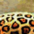 Предпросмотр схемы вышивки «леопард» (№428897)