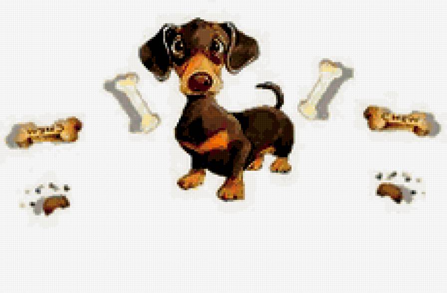 Такса - детям - предпросмотр