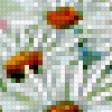 Предпросмотр схемы вышивки «ромашки» (№429032)