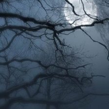 полнолуние