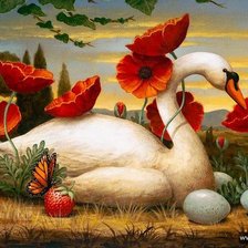 Лебедь в маках