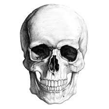 Оригинал схемы вышивки «skull 1» (№429328)
