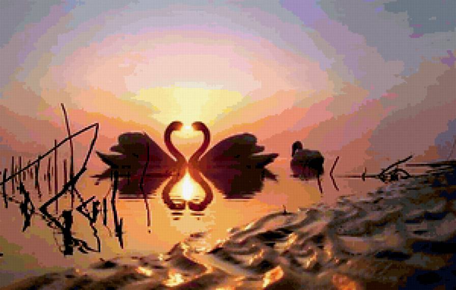 вместе - лебедь, природа, речка, птицы, любовь - предпросмотр