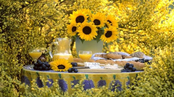 завтрак - природа, дом, цветы, еда, завтрак, для кухни - оригинал