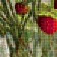 Предпросмотр схемы вышивки «земляника» (№429422)
