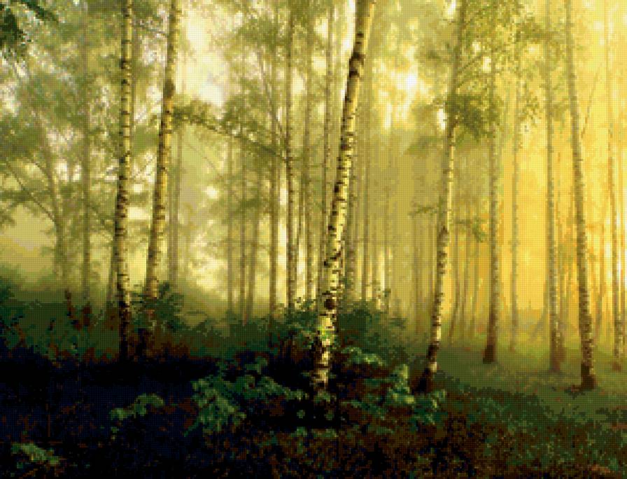 природа - природа, пейзаж, дерево - предпросмотр