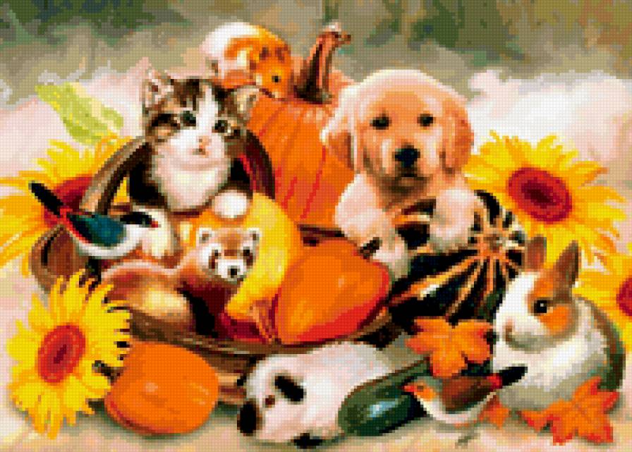 Дружба - предпросмотр