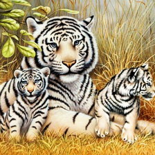 Оригинал схемы вышивки «Тигры» (№429501)