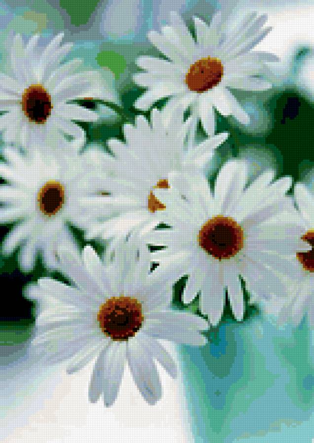 Ромашки - цветок - предпросмотр