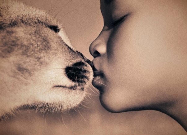 Поцелуй - животные, поцелуй, дети - оригинал