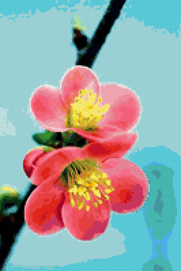 Цветы - цветок - предпросмотр