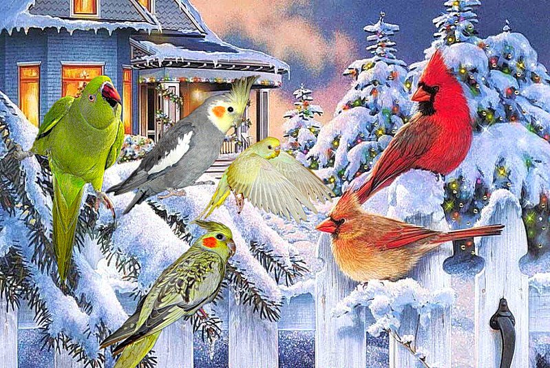 Птички - птицы, зима - оригинал