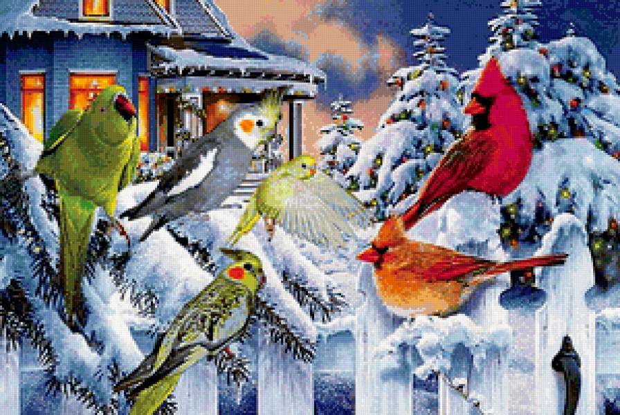 Птички - птицы, зима - предпросмотр