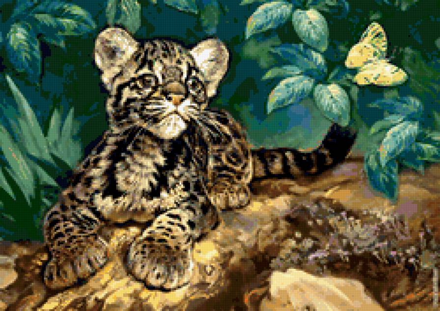 маленький леопард и бабочка - дикие кошки, леопард, животные, бабочка, котенок - предпросмотр
