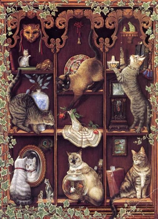 №430238 - домашние животные, коты, кошки, мило, полки - оригинал