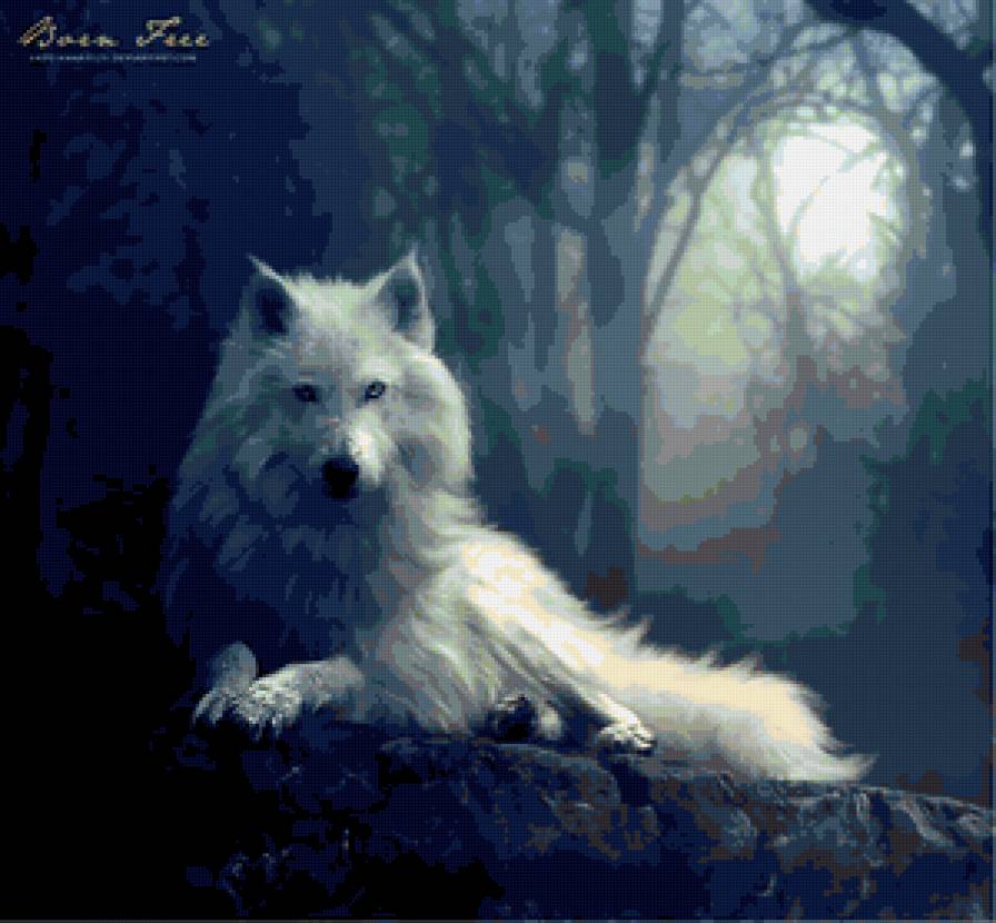 Волк - предпросмотр