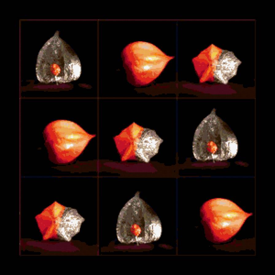 Физалис - предпросмотр