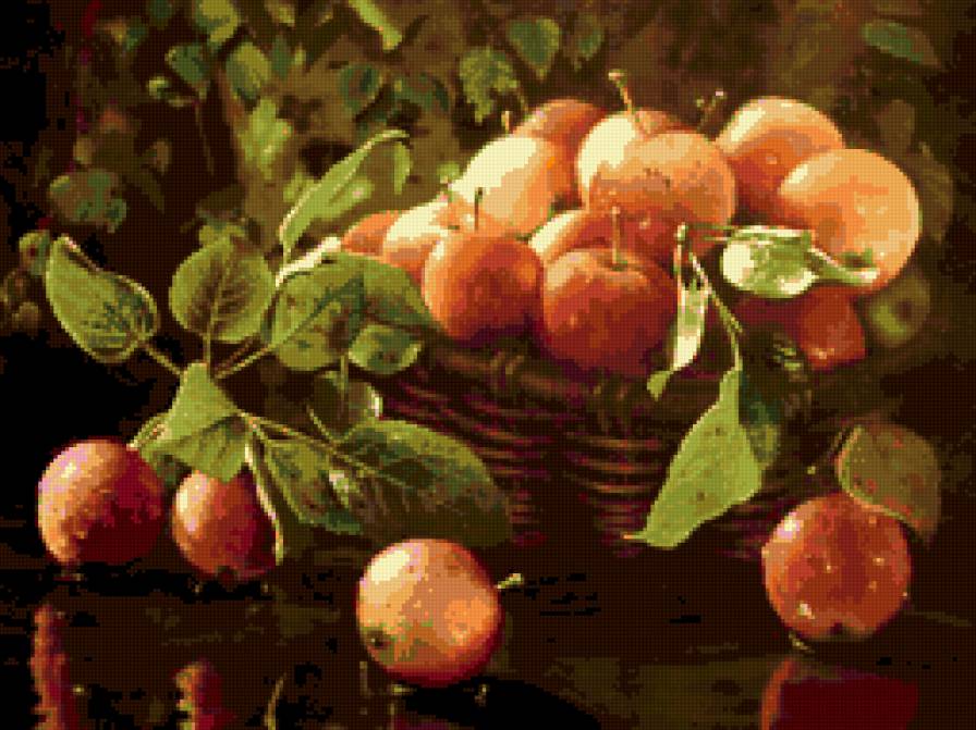 Корзина с яблоками - яблоки, лето, корзина, фрукты - предпросмотр