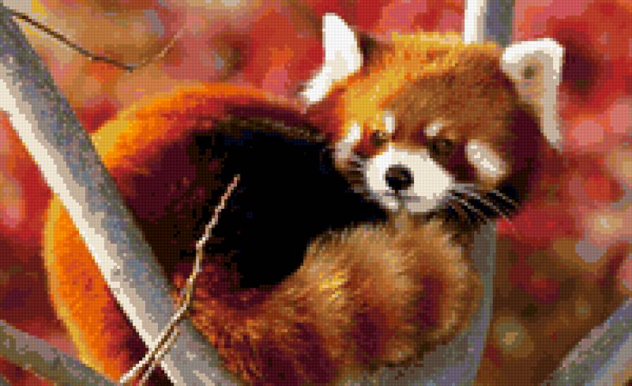 красная панда - животные - предпросмотр