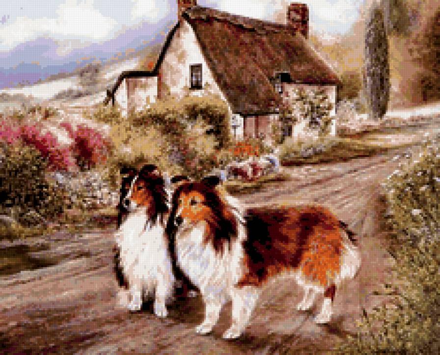 колли - пейзаж, деревня, собаки - предпросмотр