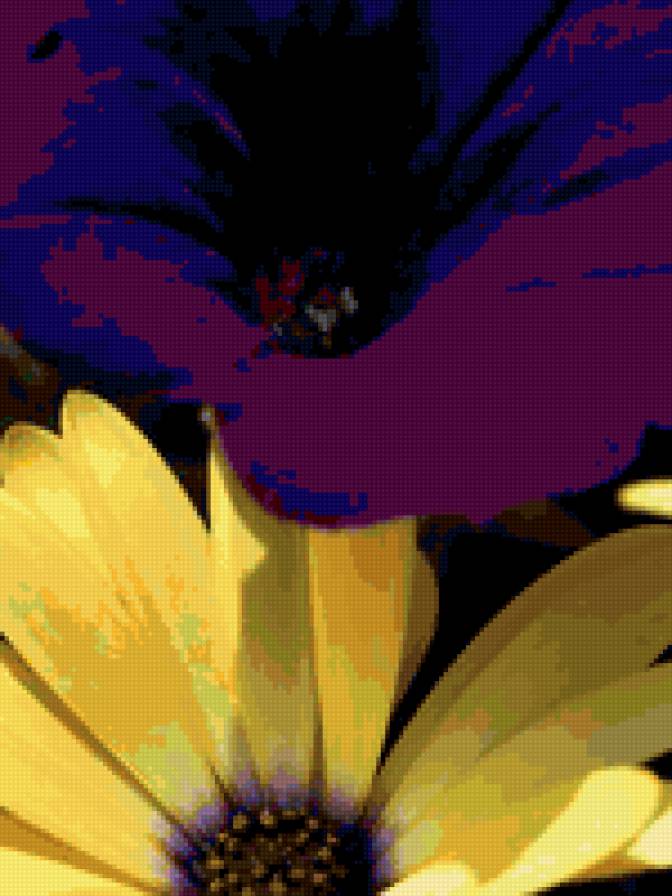 цветы - предпросмотр