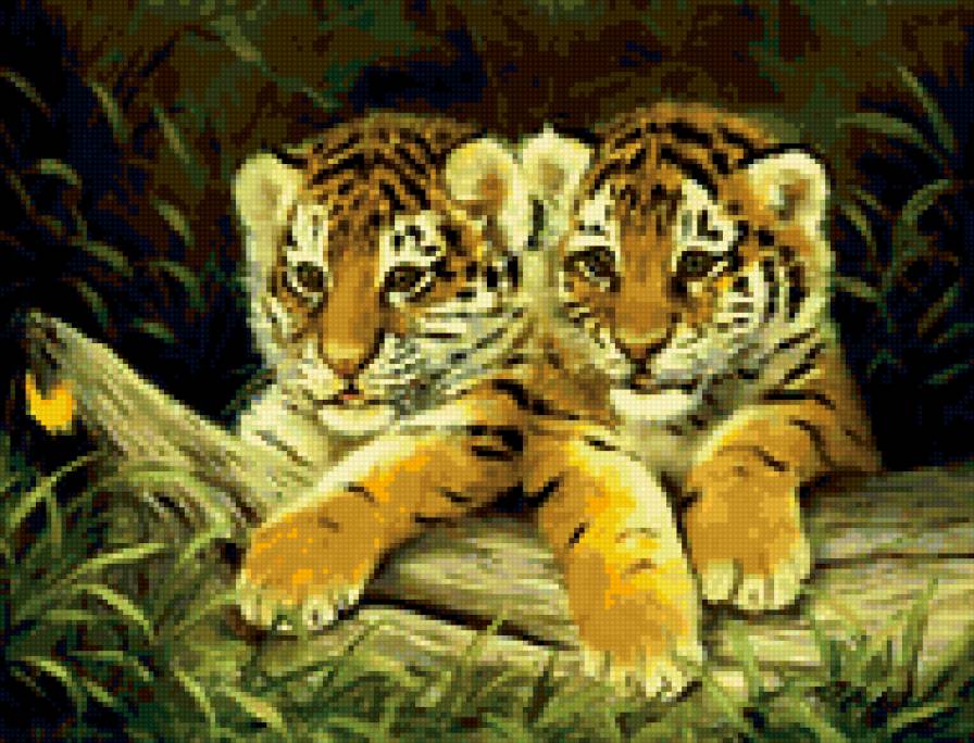 0142 - животные, картина, тигр, красота, природа, лето, кошки - предпросмотр