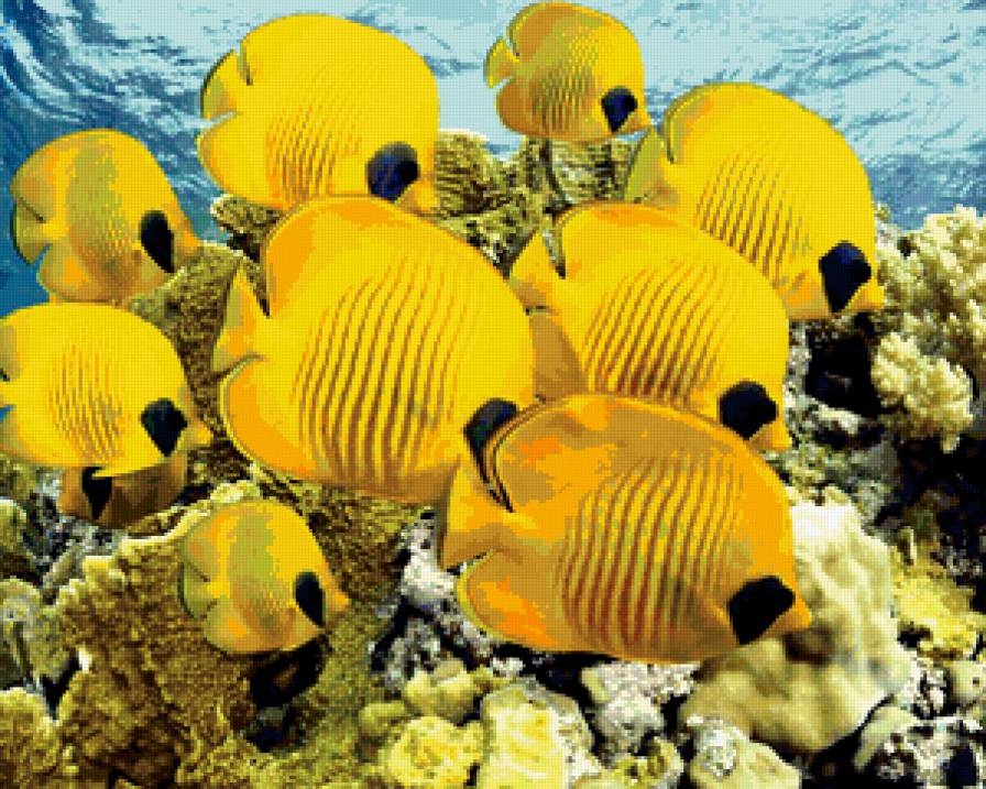 №430989 - рыбы - предпросмотр