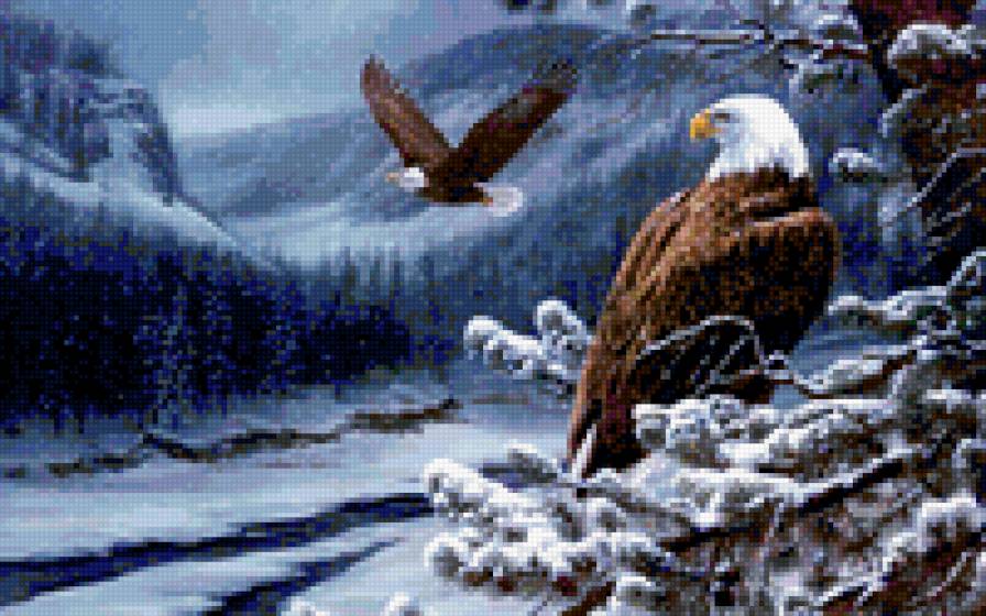 Короли неба - животные, птицы, зима - предпросмотр