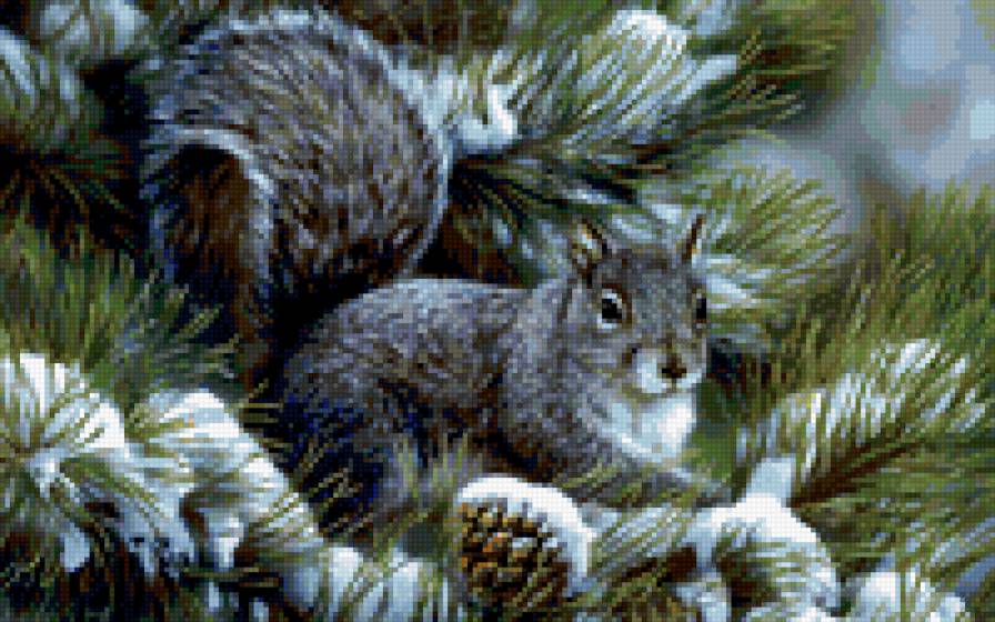 Белочка - зима, природа, животные - предпросмотр