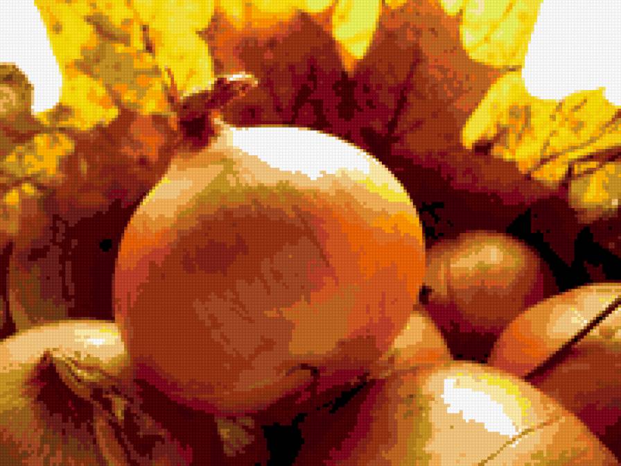 ЛУК - лук - предпросмотр