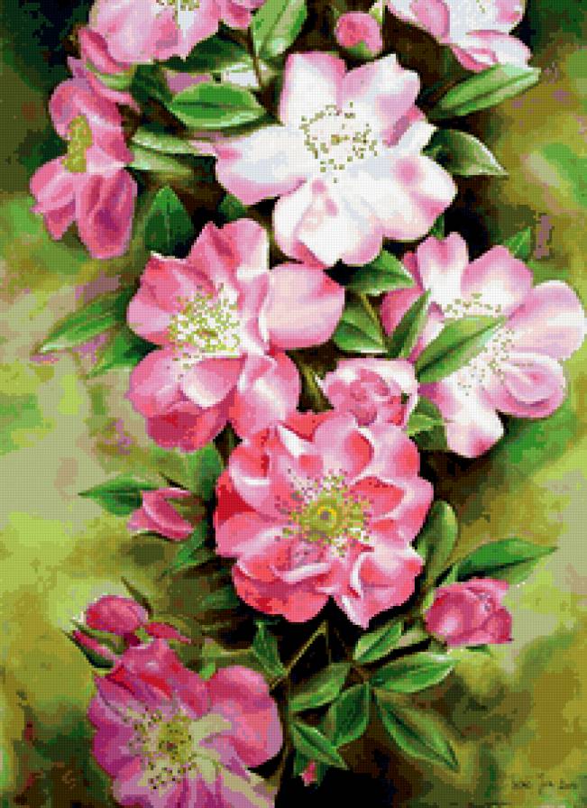 Серия "Букет" - букет, шиповник, цветы - предпросмотр