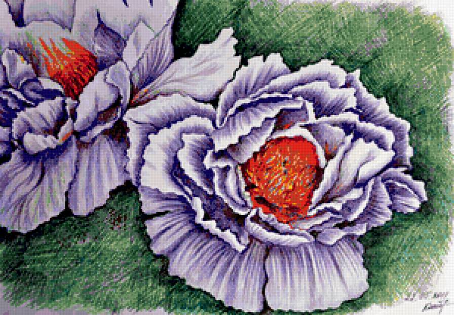 Серия "Букет" - цветы, анемоны, букет - предпросмотр