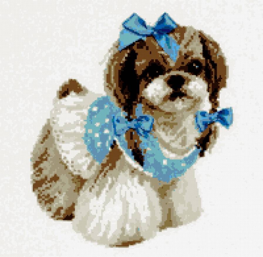 собачка - предпросмотр