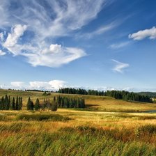 Схема вышивки «просторы полей»