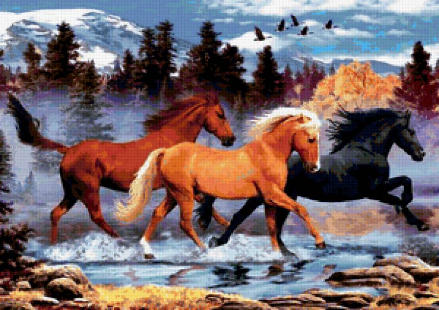 скачка лошадей - животные, кони, природа, лошади - предпросмотр