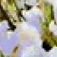 Предпросмотр схемы вышивки «белые цветы» (№432490)