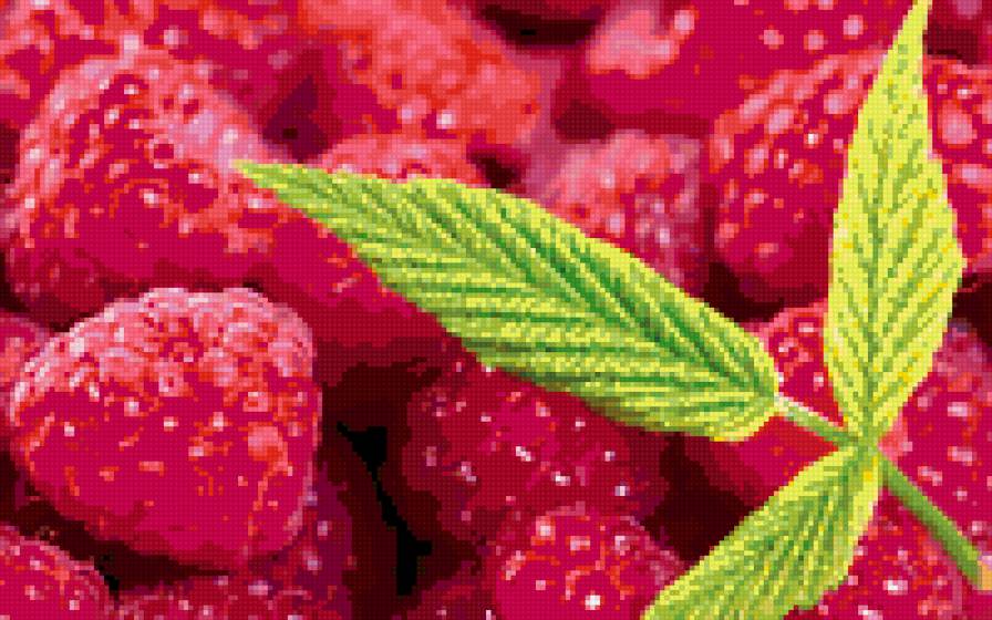 малина - ягоды, малина - предпросмотр