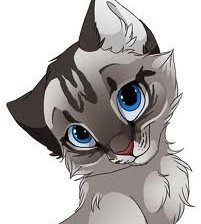 голубоглазая кошечка