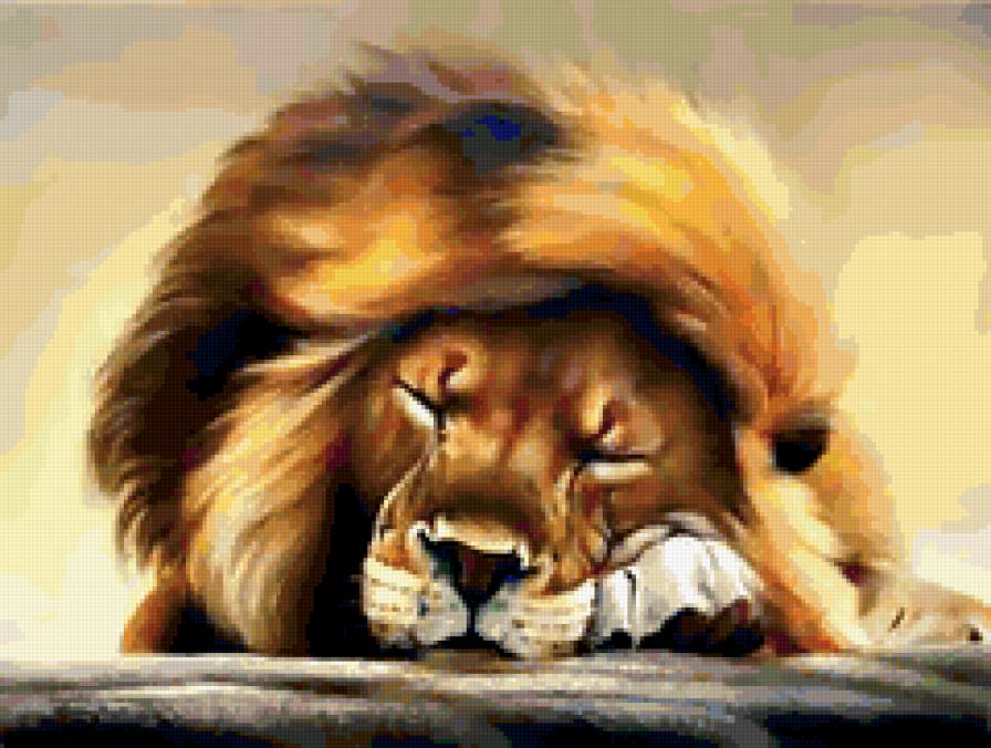 царь зверей отдыхает - животные, отдых, сон, коты, дикие кошки, лев - предпросмотр