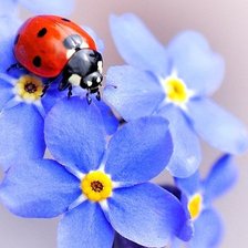 Схема вышивки «№432823»